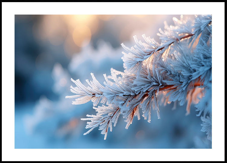 Frosted Serenity Plakat - Posterbox