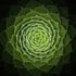 Succulent Plakat - Posterbox